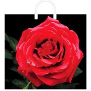 Пакет с пластиковой ручкой 38х34+3см 90мкм Красная роза
