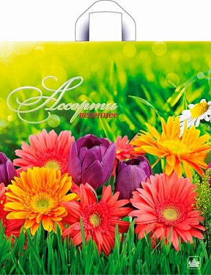 Пакет ПЭ с петлевой ручкой 38х42+6см (37) ПНД (Весеннее ассорти)