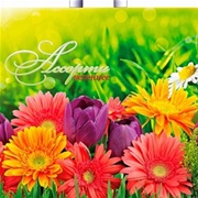 Пакет ПЭ с петлевой ручкой 38х42+6см (37) ПНД (Весеннее ассорти)