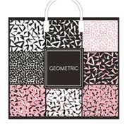 Пакет с пластиковой ручкой 38х34+3 (90) Геометрия