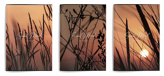 Тетрадь 80 л. А4 клетка, на скрепке, Schoolformat ТЕПЛЫЙ ПЕЙЗАЖ офсет, мелованный картон, ВД-лак