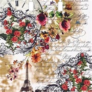 Пакет с пластиковой ручкой 38х45+3 (90) Воспоминания