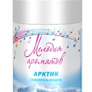 Освежитель воздуха МЕЛОДИЯ 230 мл "Арктик" для диспенсора