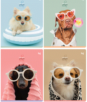 Тетрадь 48л., А5, линия BG "Lovely", микро sandy-touch лак