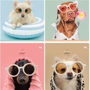 Тетрадь 48л., А5, линия BG "Lovely", микро sandy-touch лак