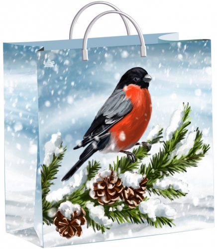 Сумочка пластиковая мягкая 30х30+10 Снегирек  НГ