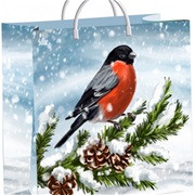 Сумочка пластиковая мягкая 30х30+10 Снегирек  НГ