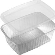 Набор контейнеров "Сезонный 1л" 10шт