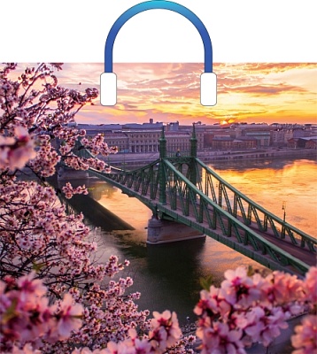 Пакет ПЭ с пластмассовыми ручками 38х34+3см (90) (Дуней) Артпласт