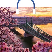 Пакет ПЭ с пластмассовыми ручками 38х34+3см (90) (Дуней) Артпласт