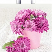 Пакет с петлевой ручкой 36x40+5 (37) Хризантемы